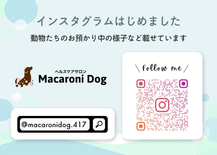 Macaroni Dogインスタグラム